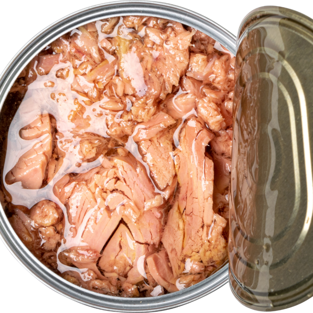 si può mangiare il tonno in scatola in gravidanza?