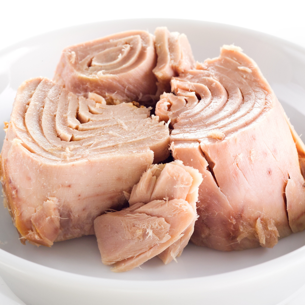 si può mangiare il tonno in scatola in gravidanza?