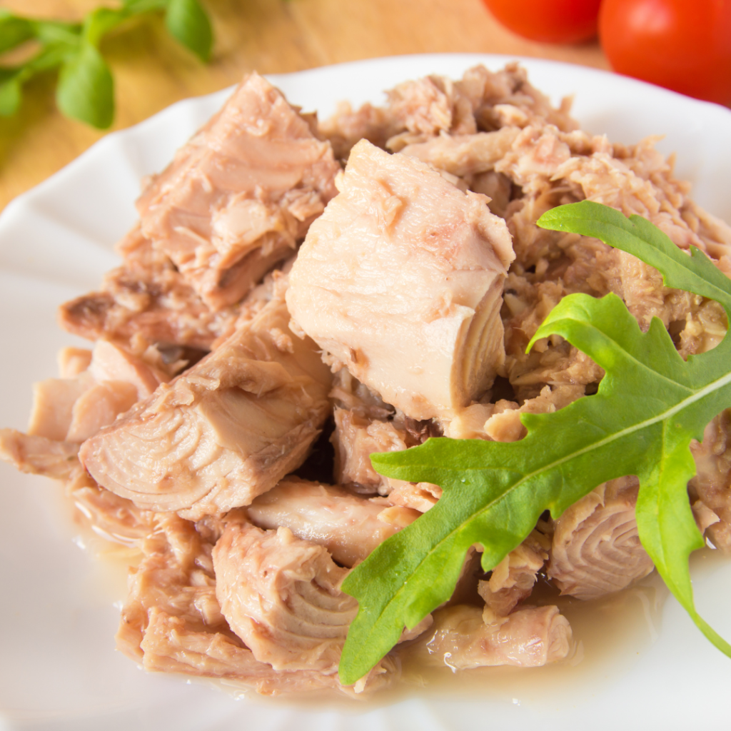 si può mangiare il tonno in scatola in gravidanza?